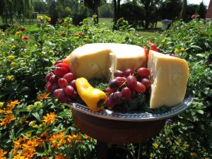 Outdoor cheese display