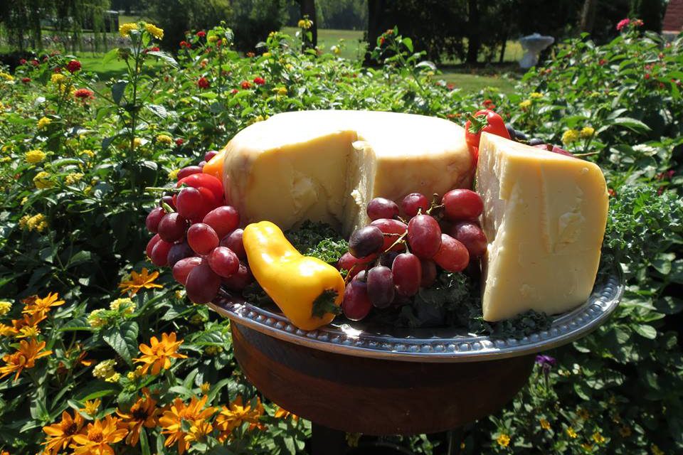 Outdoor cheese display